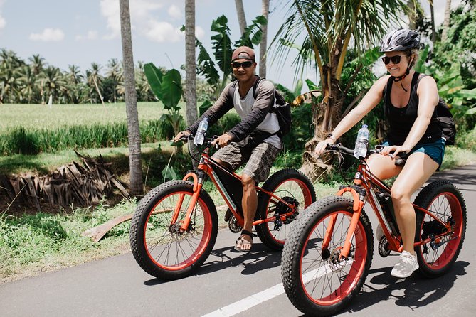 Private Fat Tire E-Bike Tour in Ubud - Starting in central Ubud at 8:30 AM