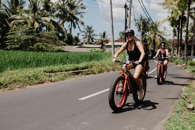 Private Fat Tire E-Bike Tour in Ubud - Cultural encounters beyond the scenery