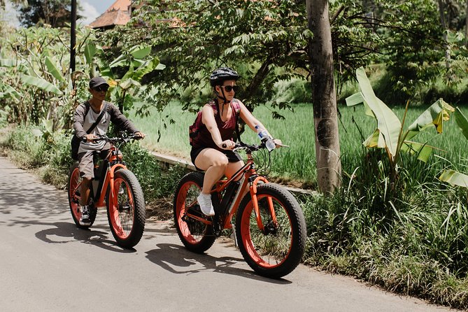 Private Fat Tire E-Bike Tour in Ubud - Snacks, water, and the unclear meal detail