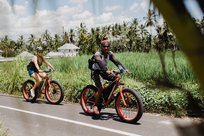 Private Fat Tire E-Bike Tour in Ubud - Is $75 good value for a private ride?