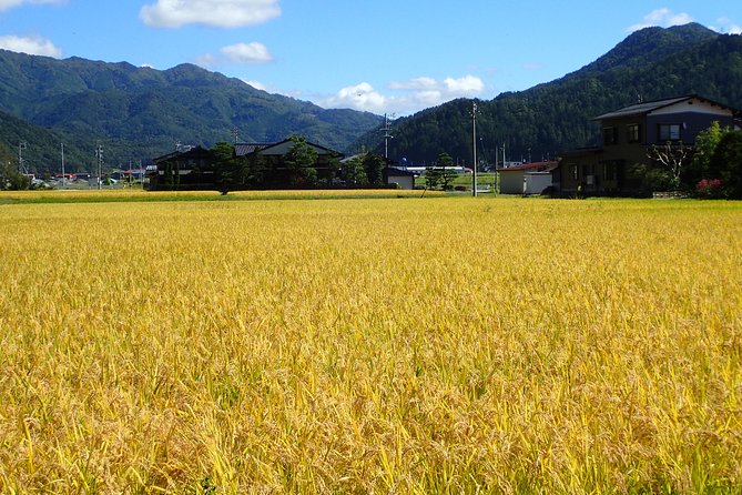 Private-group Morning Cycling Tour in Hida-Furukawa - Weather can change the experience