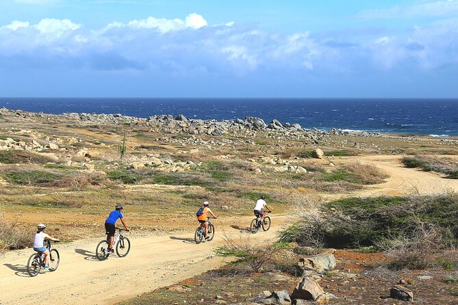 Private Mountain Bike Tour in Aruba - Key points to know before booking
