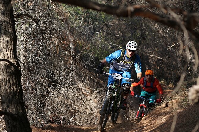 Private Mountain Bike,Trail Ride Tour of Mount Ymittos, Athens. - A route shaped around your ability