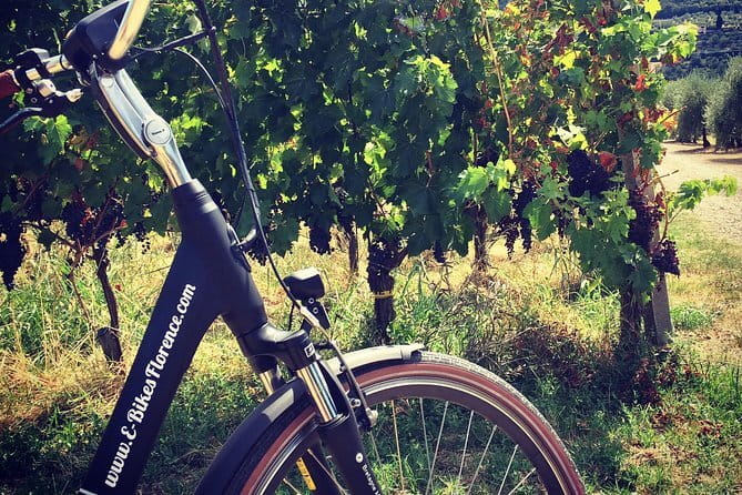 Private Self-Guided E-Bike Ride in Tuscany with Vineyard Visit - Key Points Before You Book