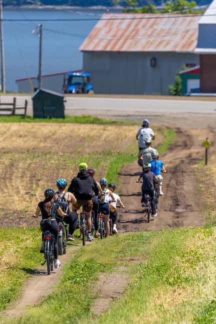 Quebec City: Electric Bike Rental on Ile d'Orléans - Price, flexibility, and overall value