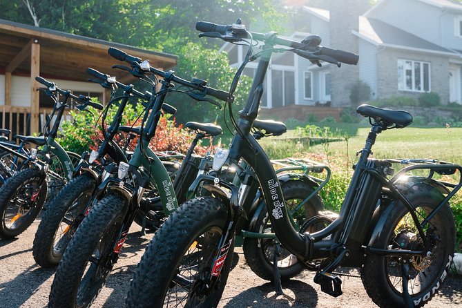 Quebec City - Electric Bike Rental on Ile d'Orléans - Who Should Book This Experience