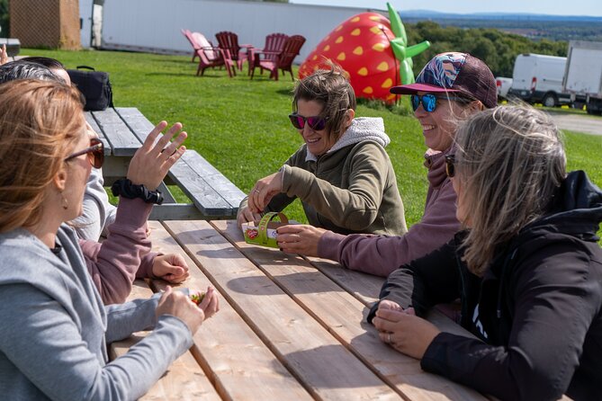 Quebec City - Guided E-Bike Tour & Tastings - Ile d'Orléans - Saint-Pierre Le Vignoble and the best view break