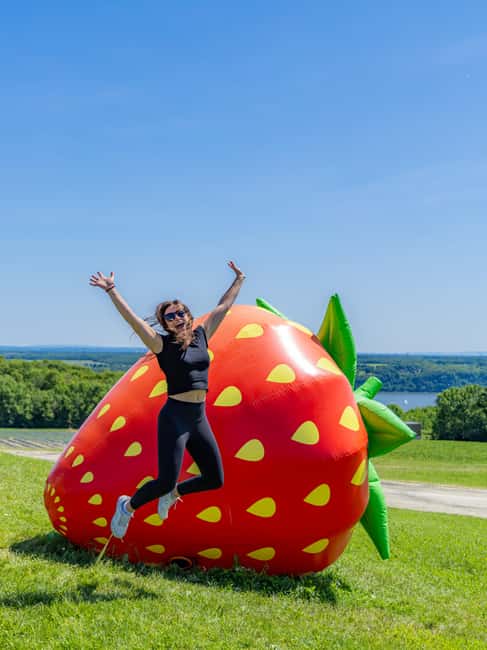 Quebec City: Ile d'Orléans Guided E-Bike Tour with Tastings - Starting beside the bridge to Île d’Orléans