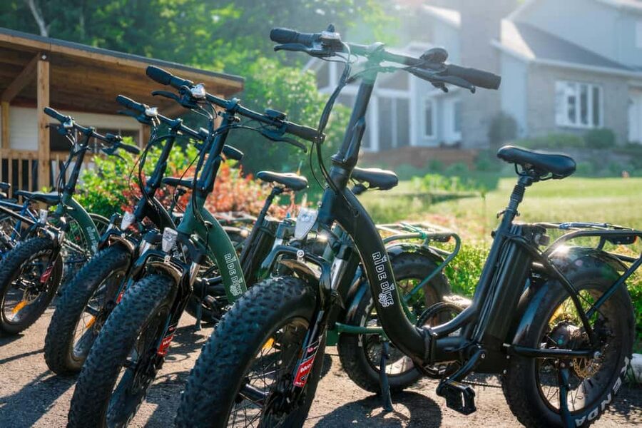Quebec City: Ile d'Orléans Guided E-Bike Tour with Tastings - A 1898 manor and gardens