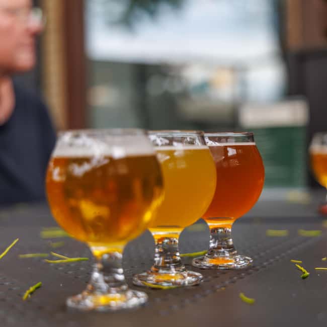 Quebec City: Montmorency Falls and Microbrewery eBike Tour - A quiet pause at Domaine de Maizerets