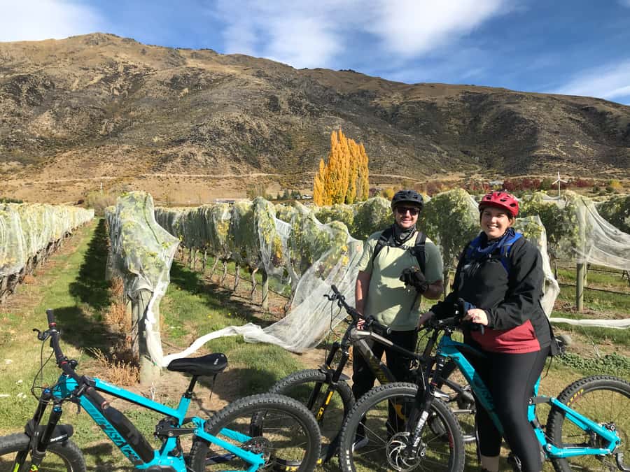Queenstown: Guided E-Bike Tour with Winery Visits & Tastings - Is $194 good value?