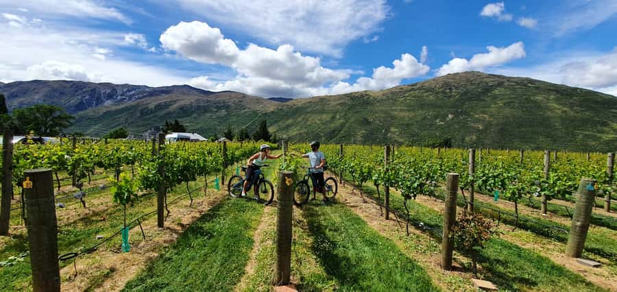 Queenstown: Guided E-Bike Tour with Winery Visits & Tastings - Why this six-hour outing works so well