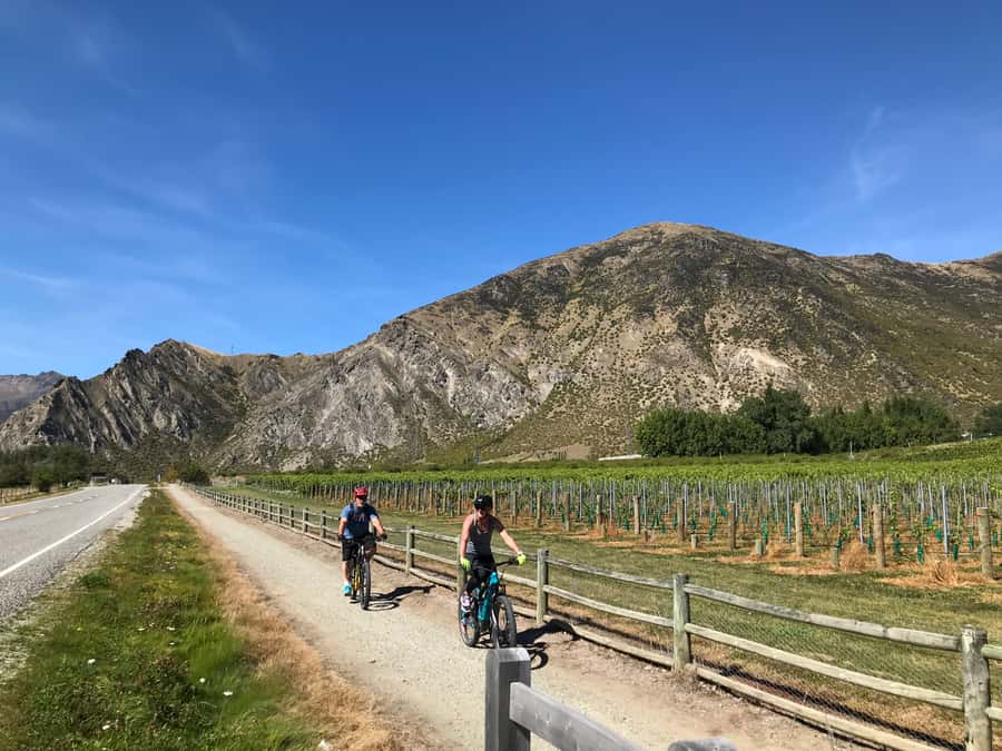 Queenstown: Guided E-Bike Tour with Winery Visits & Tastings - What the transport and timing mean for your day