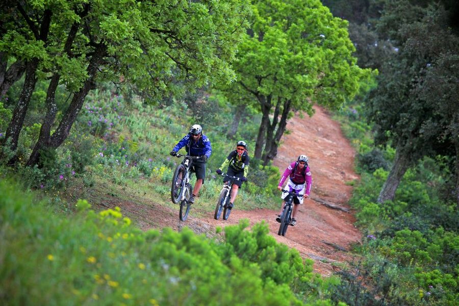 Ramatuelle: Tracks & Tasting Winery Tour by Mountain E-Bike - Starting at Kon Tiki near the Route des Plages