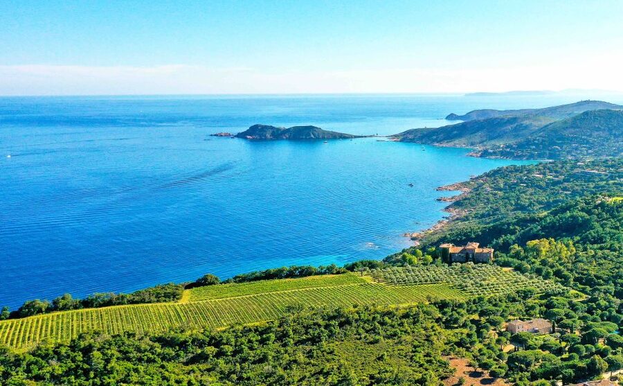 Ramatuelle: Tracks & Tasting Winery Tour by Mountain E-Bike - Seeing Saint-Tropez from the countryside