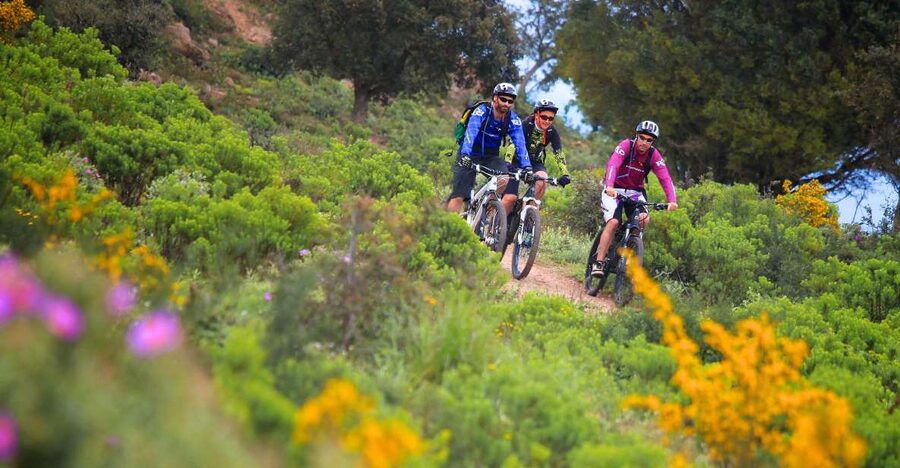 Ramatuelle: Tracks & Tasting Winery Tour by Mountain E-Bike - Choosing between forest tracks and seaside terrain