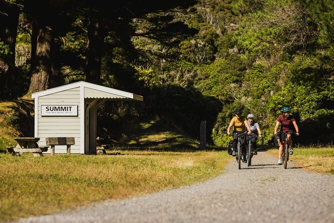 Remutaka Rail Trail Mountain Bike Explorer Cycle Tour - Why this rail trail makes a good Wellington day out