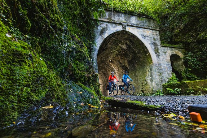 Remutaka Rail Trail Mountain Bike Explorer Cycle Tour - Tunnels, bridges, and the old railway route