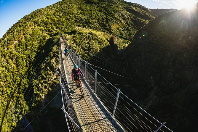Remutaka Rail Trail Mountain Bike Explorer Cycle Tour - Weather, safety, and practical limits