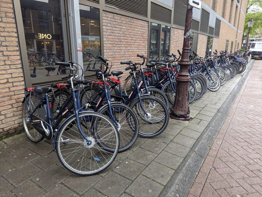 Rent a bike in Amsterdam | 1, 2, 3+ hours - Safety and comfort in real city traffic