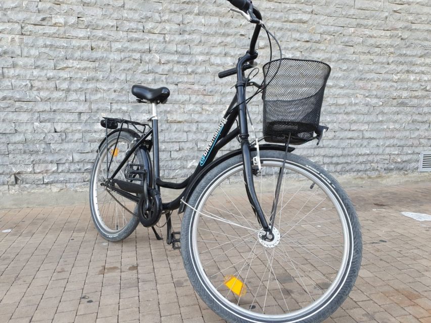 Rent a bike in Malaga - Why a Málaga bike rental makes sense