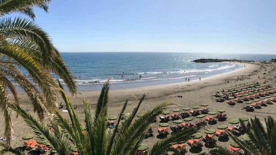 Rent a City Bike 18 gears from 4 hours to 7 days: Maspalomas - Tropical plants at the 12,000-square-metre botanical garden