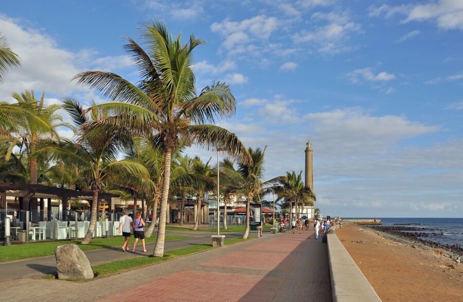 Rent a City Bike 18 gears from 4 hours to 7 days: Maspalomas - Punta de las Mujeres and Gran Canaria lizards