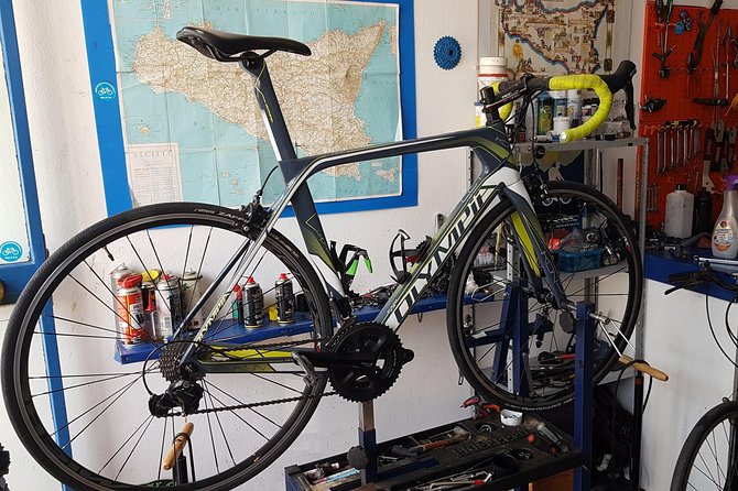 Rent road bike - Carbon or Aluminum for Your Palermo Ride