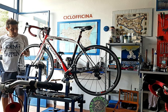 Rent road bike - Is the Palermo Road Bike Rental Worth Booking?