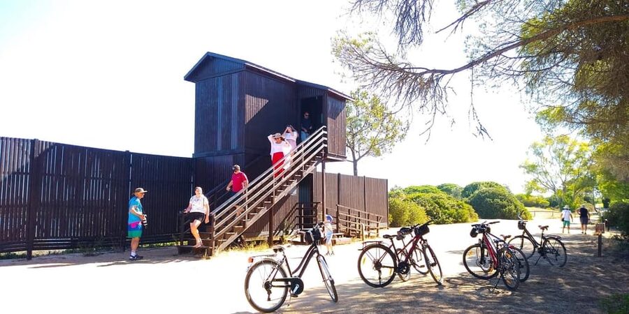 Ria Formosa: Guided Bike Tour (3h), Início na Quinta do Lago - What the path feels like under your wheels