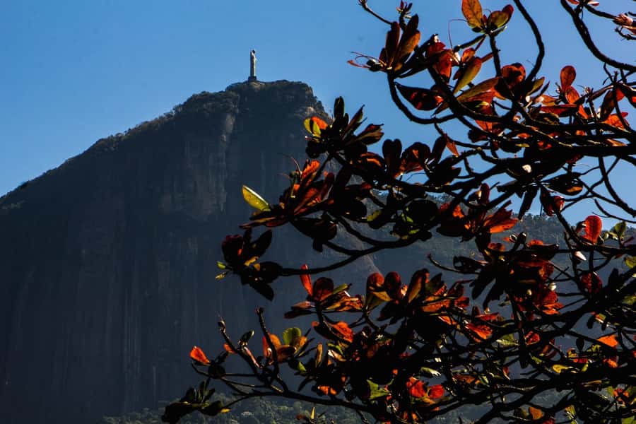 Rio de Janeiro: Guided Bike Tours in Small Groups - Key points at a glance