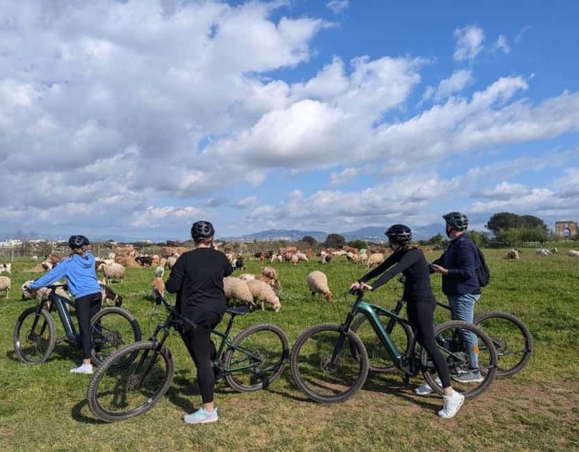 Rome: Appian Way, Aqueducts, & Catacombs E-Bike Guided Tour - Families, older riders, and who should skip it
