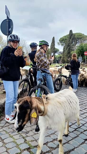 Rome: Appian Way, Aqueducts, & Catacombs E-Bike Guided Tour - What the bikes and group size mean in practice