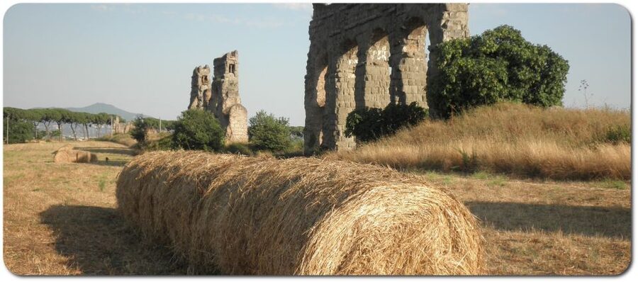 Rome: Appian Way E-Bike Tour Catacombs, Aqueducts & Picnic - Riding the Appian Way on a suspension e-bike