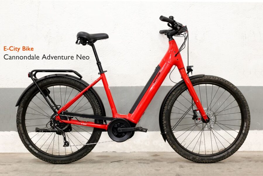 Rome: E-Bike Rental with Helmet and U-Lock - Key Details Before You Ride