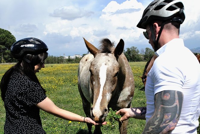 Rome EBike Tour: Appian Way, Catacombs & Roman Aqueducts - The Appian Way, Rome’s Queen of Roads