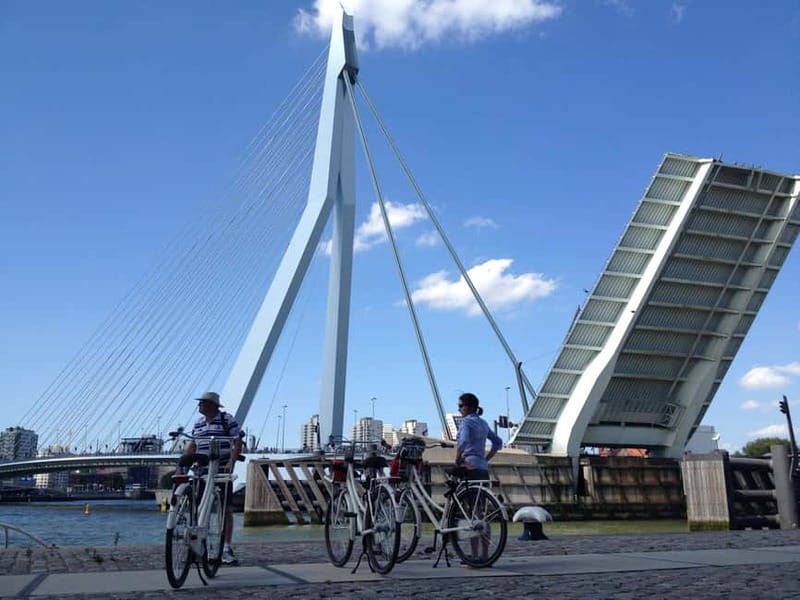Rotterdam: City Highlights Guided Bike Tour - Cycling toward Erasmusbrug and the skyline