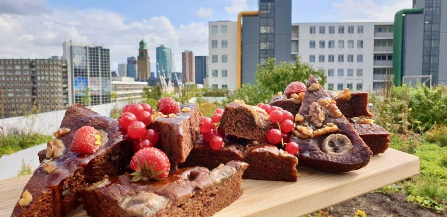 Rotterdam: Food Tour by Bike - Why Rotterdam works so well for a food ride