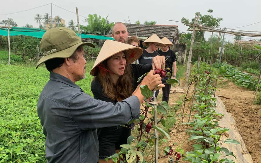 Rural Cycle, Market Tour, Basket Boat & Organic Farm Cooking - A local market and unfamiliar fruit