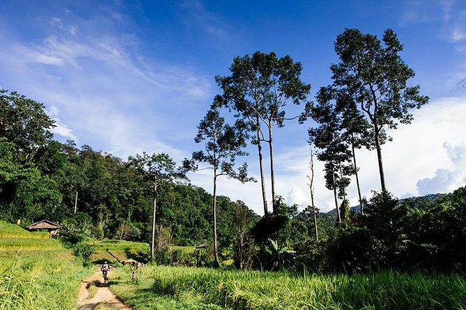 Rural Explorer Mountain Biking Tour Chiang Mai - Mork Fa Waterfall gives you an easy first stop