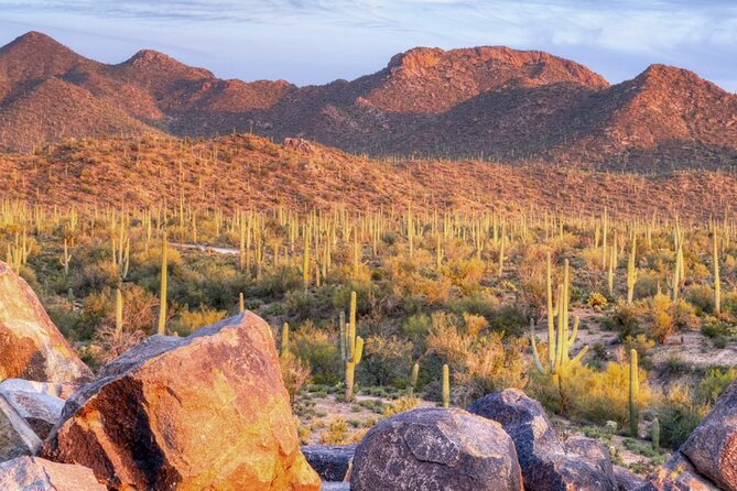 Saguaro National Park East E-Bike Tour - Key points to know before you book