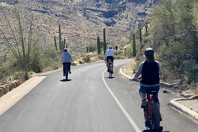 Saguaro National Park East E-Bike Tour - Stops for saguaros, wildlife, and desert knowledge
