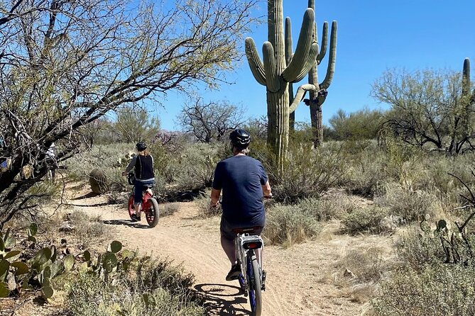 Saguaro National Park East E-Bike Tour - The visitor center stop adds context