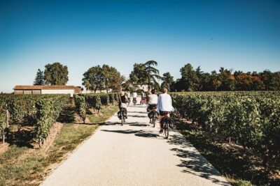 Saint-Emilion Electric Bike Day Tour with Wine Tastings & Lunch