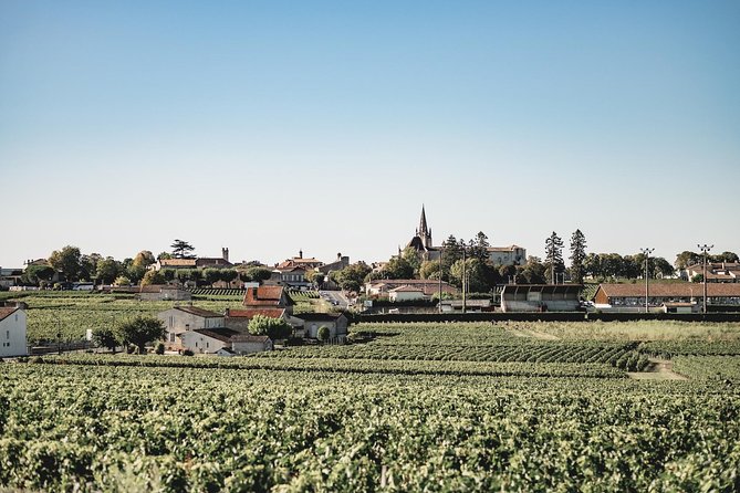 Saint-Emilion Electric Bike Day Tour with Wine Tastings & Lunch - Who gets the most from this tour?