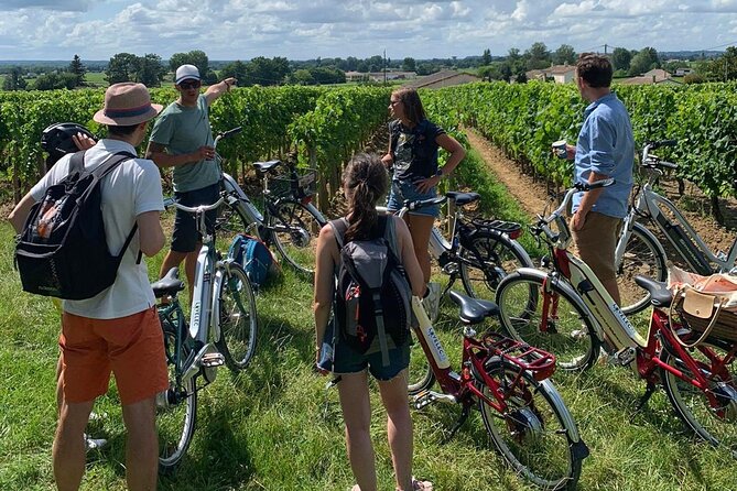 Saint Emilion Full Day Wine and Bike Tour - Is $216.56 a fair price?