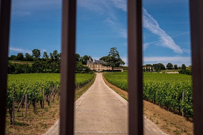 Saint Emilion Wine Tour by E-Bike- Bordeaux Pick up and drop off - A picnic above the vines