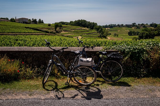 Saint Emilion Wine Tour by E-Bike- Bordeaux Pick up and drop off - From Bordeaux to the vineyards