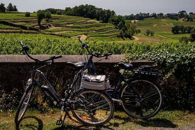 Saint-Émilion Wine Tour By Premium Electric Bike, Lunch Included - Key points before you book