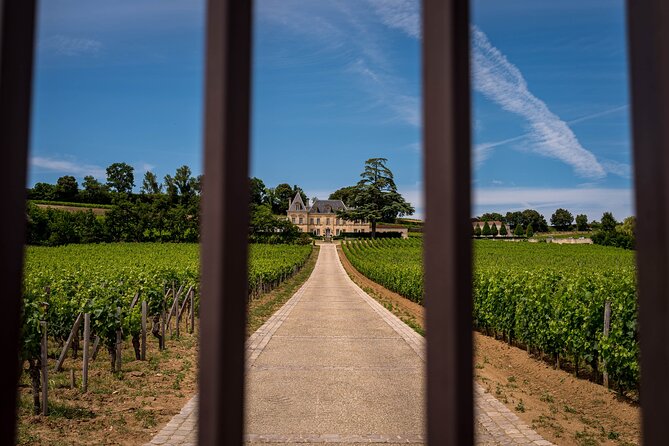 Saint-Émilion Wine Tour By Premium Electric Bike, Lunch Included - Blue clay and the afternoon ride